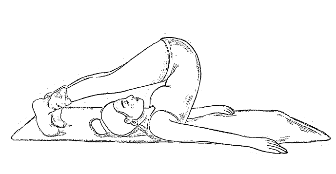Halasan _yoga for beginners