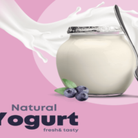 A Guide to Making Your Own Natural Yogurt